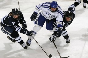 AYXSPORTSAPP-凯撒酋长签约新外援，增强防守实力，凯撒酋长足球俱乐部