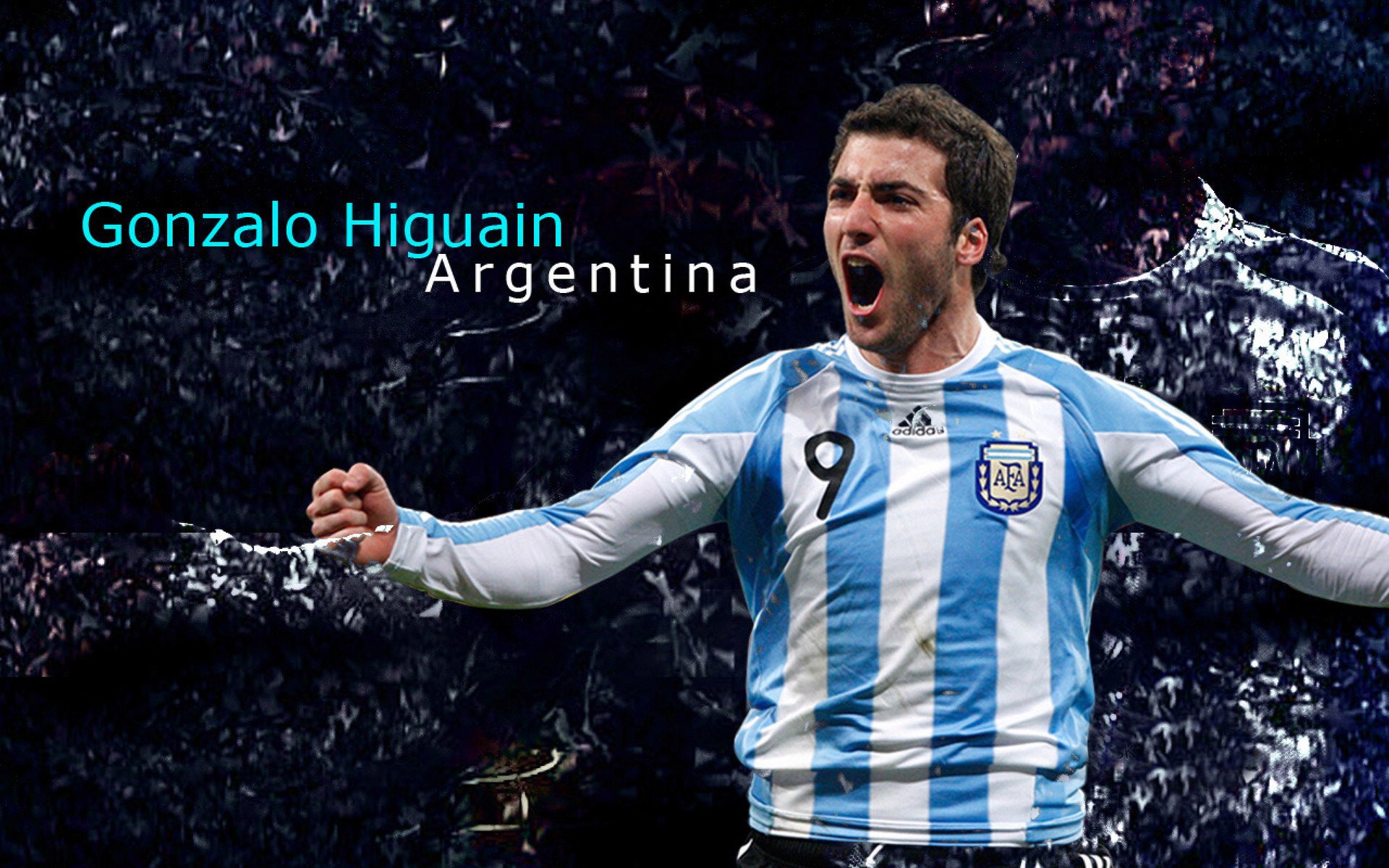 AYX体育-史上最大“黑马王朝”：逆袭夺冠的奇迹历程，黑马王子百科